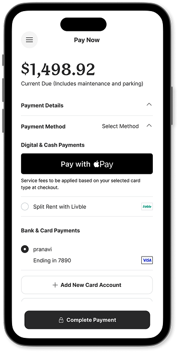 Pay Now screen